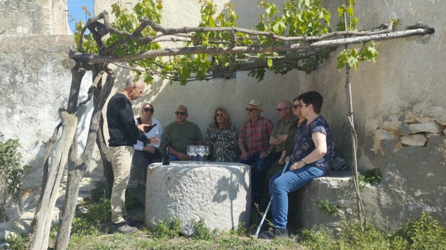 From Sitges: Wine Tasting at 2 Wineries, Snacks and Pickup - Tour Overview and Pricing