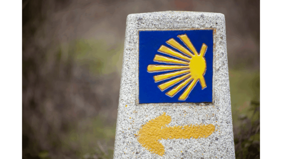 From Tui: 9-Day Guided Camino Walking Tour to Santiago - Tour Overview