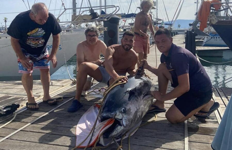 Fuengirola: 4h Trolling Fishing Trip With Snacks and Drinks - Trip Overview and Details