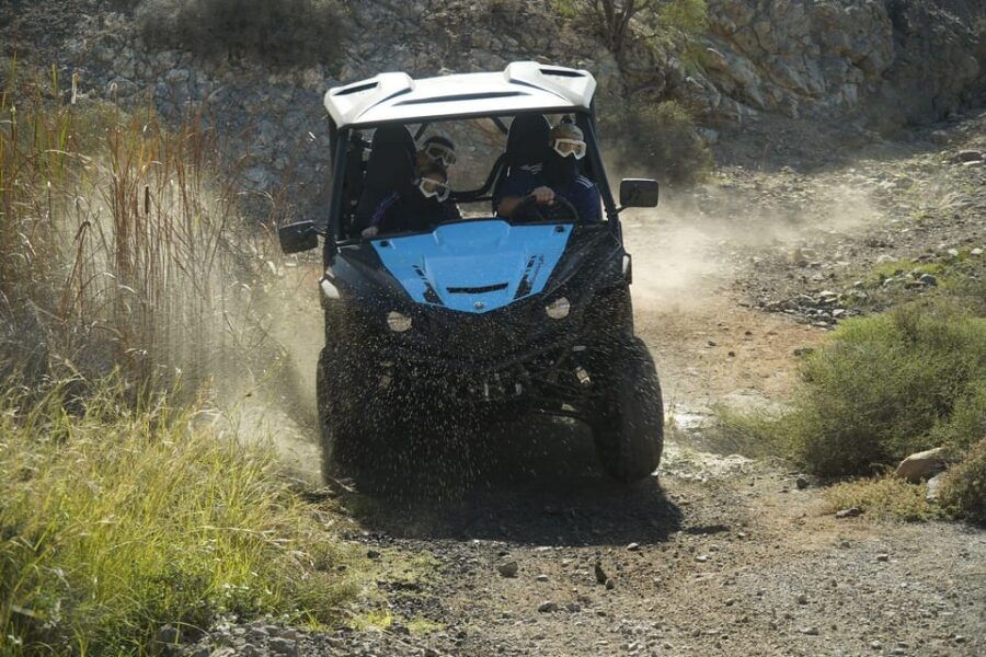 Gran Canaria Buggy Tour - Tour Overview