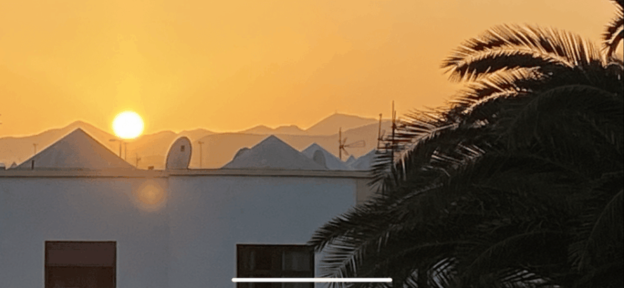 Guided Excursion to the Hometown of Cesar Manrique Haria Lanzarote - Tour Highlights