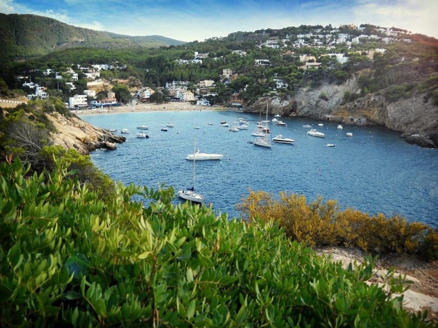 Ibiza: Land & Sea (Buggy+Paddle Surf) - Activity Overview