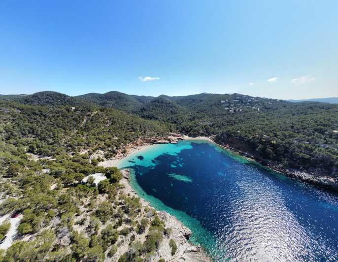 Ibiza North Coast: SpeedBoat to Portitxol + Snorkel & Paddle - Activity Overview