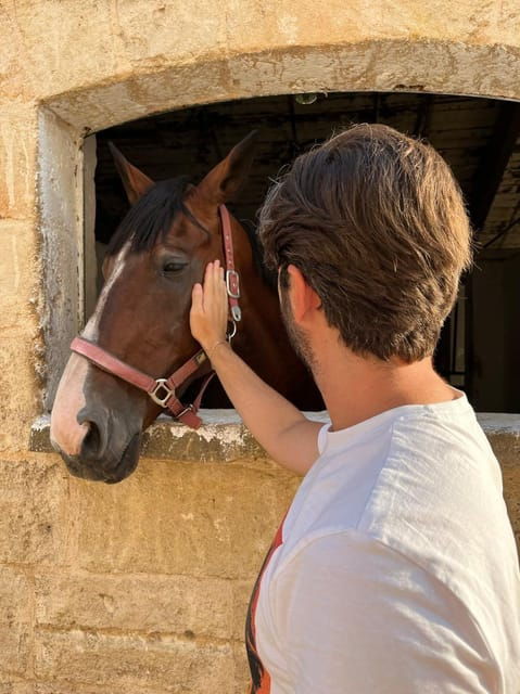 Matera: Sunset Horseback Riding Tour on Murgia - Overview of the Sunset Horseback Riding Tour