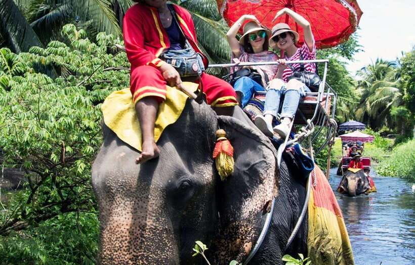 Private Car Floating Market: Damnoen Saduak + Amphawa + More - Tour Overview and Pricing