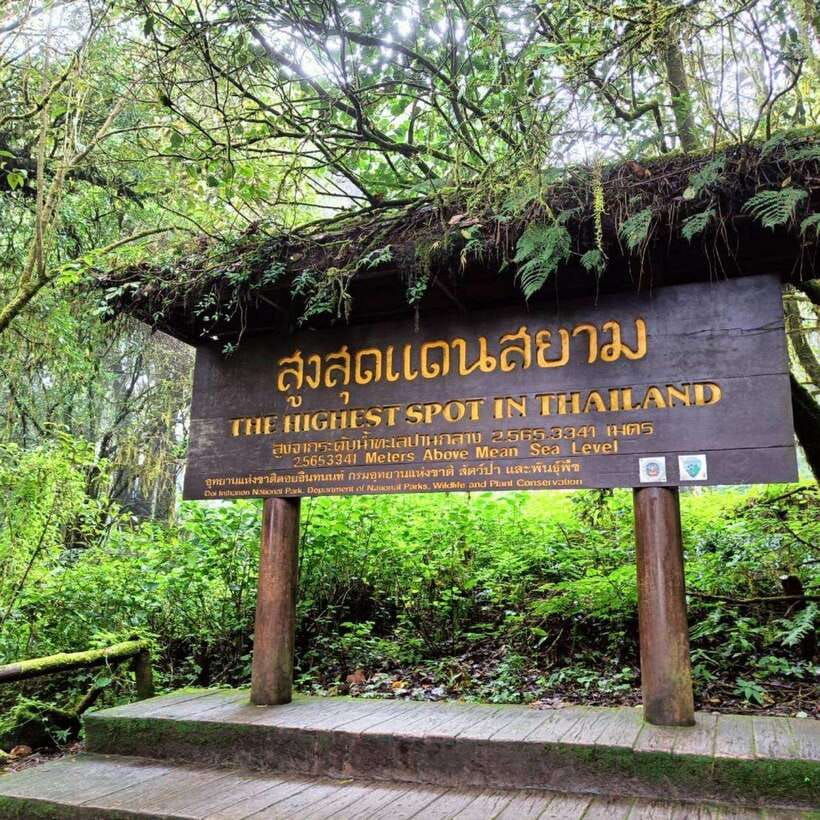 Private Day Trip Doi Inthanon, Trekking, Elephant Sanctuary - Trip Overview and Pricing