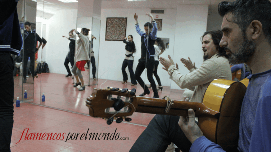 Seville: Flamenco Lessons - Booking and Availability