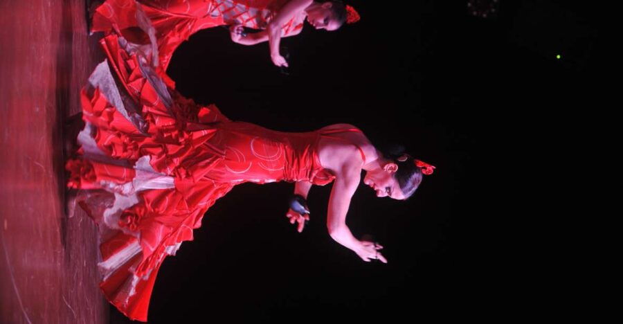 Tenerife: Flamenco Performance at Teatro Coliseo - Event Overview