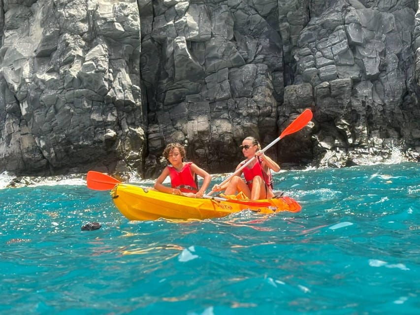 Tenerife: Kayak & Snorkeling, Marine Fauna Watching - Activity Overview