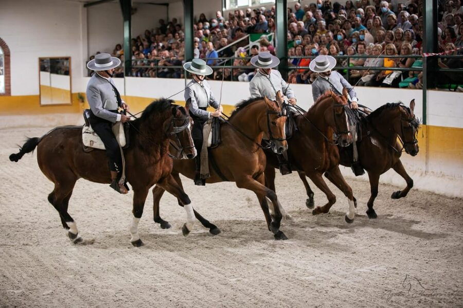 Torremolinos: Spanish Horse Show and Flamenco Option With Dinner - Overview and Booking Information