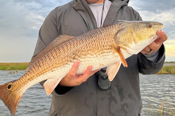 #1 Top Rated - Calm Water Inshore Fishing Charter In Your Area - Introduction