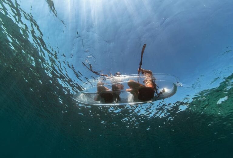 1.5-hour Clear Kayak Rentals: Explore the Underwater World