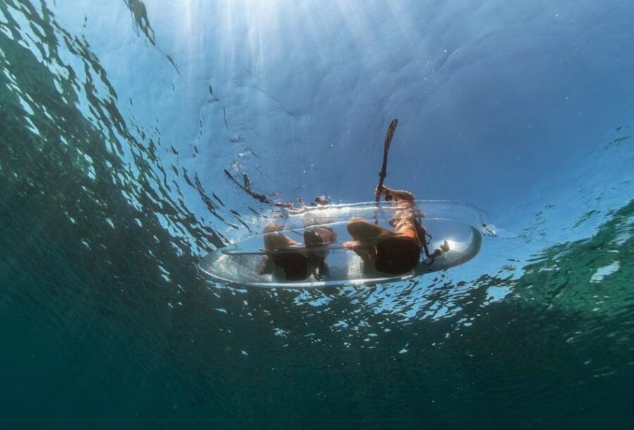 1.5-hour Clear Kayak Rentals: Explore the Underwater World - Good To Know