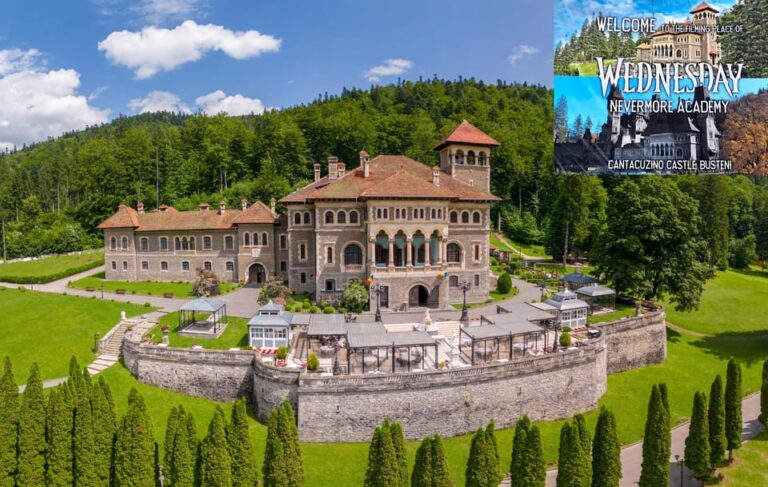 1-Day Minivan Tour 3 Castles: Peles, Wednesday & Draculas