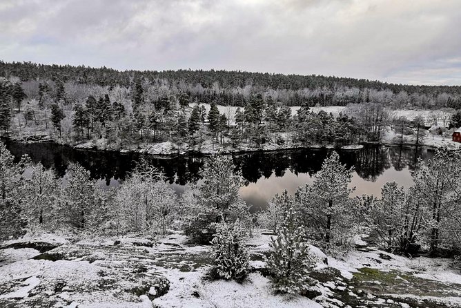 1-Day Small-Group Stockholm Nature Hiking - Good To Know