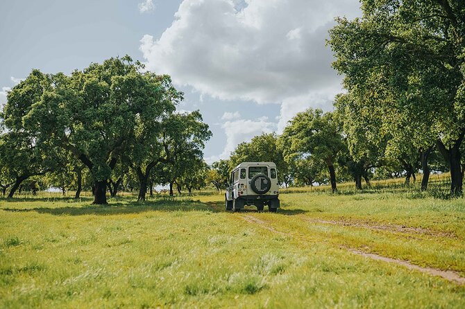 1 Day Wine Tour Around Évora - What Makes This Tour Stand Out