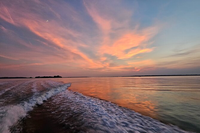 1 Hour Private Dolphin and Nature Tour - What to Expect from the 1 Hour Private Dolphin and Nature Tour