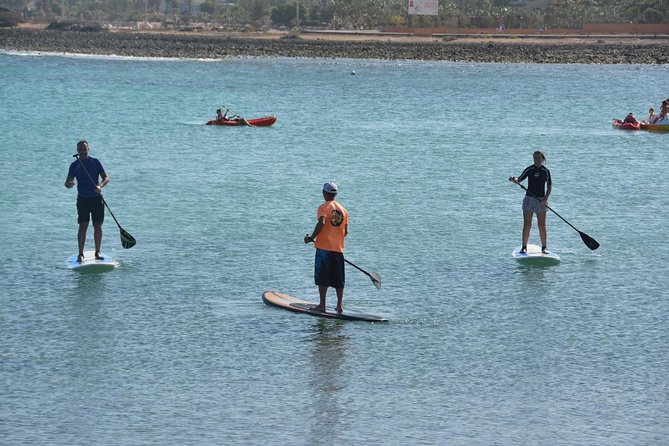 1,5-Hour Beginners Stand Up Paddle Course in Caleta de Fuste - The Experience from a Practical Perspective