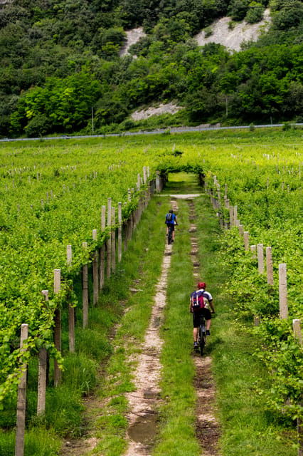 2 Days Winery Tour: 3 Wine Tastings, Local Hotel, 3 Meals