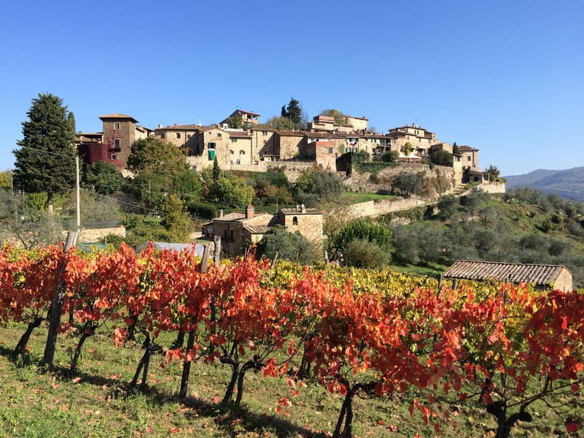 3 Chianti Wineries Private Tour from Florence or Siena - Good To Know
