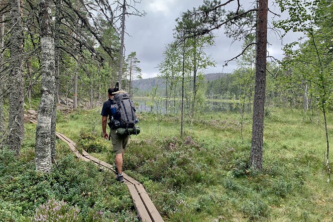4-Day Hiking Adventure in Skuleskogen National Park (Höga Kusten)