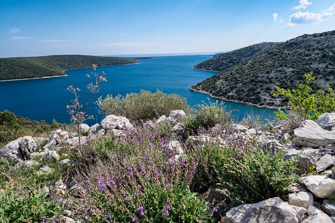 4-hour private boat tour: Discover the beauties of Istria - Exploring Istria’s Coastline in Style and Comfort