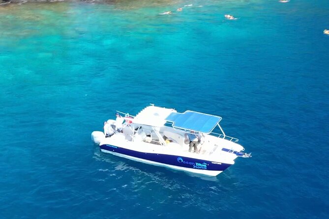 4 Hour Private Snorkeling Tour in Kona - An Introduction to the Kona Snorkeling Experience