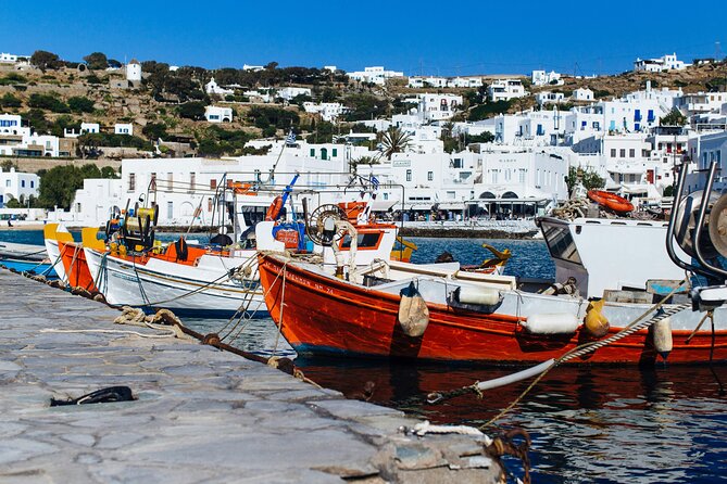 4Hours Mykonos Adventure Walk in Town & Minivan Countryside Tour - The Overall Experience