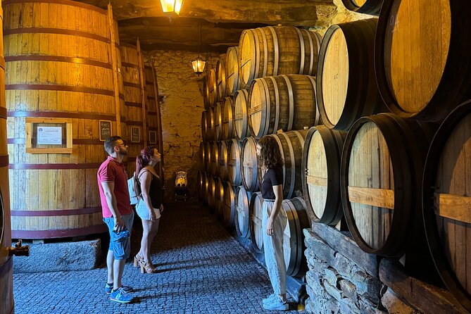 4×4 Adventure in Douro: Wine Tasting, Boat Trip and Lunch