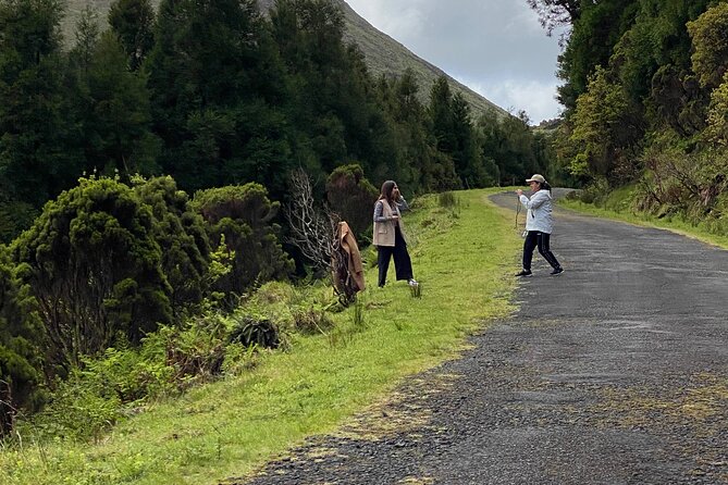 500 years of vines and 300,000 years of island, an infinite story - Exploring the Itinerary in Detail