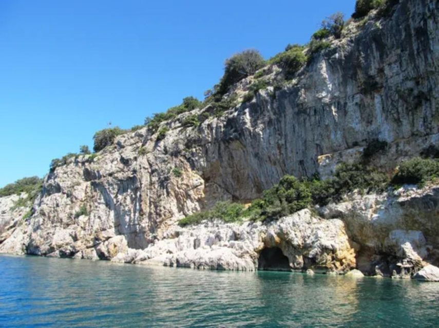 5,5h Plavnik Island: Swim & Snorkel with Capt. Bobo(Private) - Good To Know