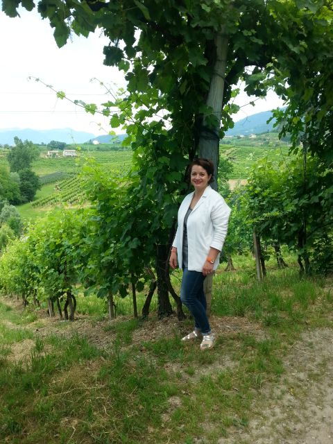 8-Hour Prosecco Wine and Tastings Tour from Venice or Padua - The Itinerary: An In-Depth Look