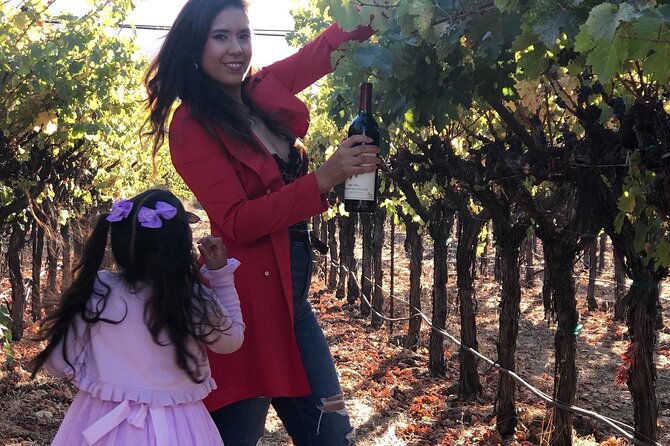 8 Hours 12 Passengers limo bus for Napa or Sonoma wine tour - An In-Depth Look at the Experience