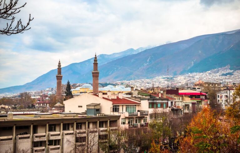 A Cultural Odyssey: Exploring the Heart of Busra
