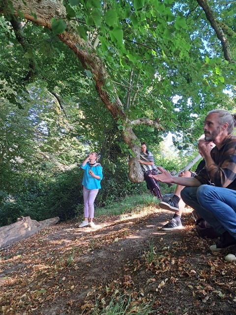 A Tour of Glastonbury – Guided by the Trees