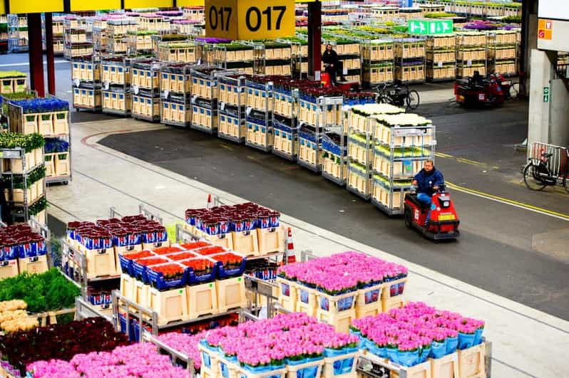 Aalsmeer: Flower Auction Royal Flora Holland Entry Ticket - Good To Know