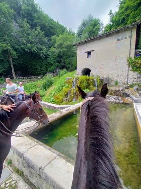 Abruzzo: Simbruini National Park Horseback Daily Adventure