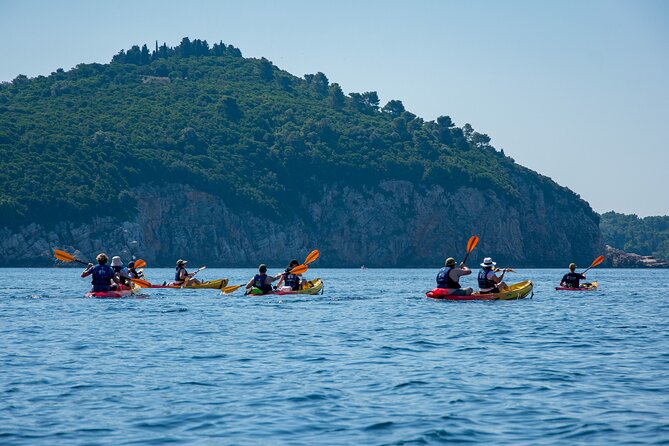 Afternoon Dubrovnik Guided Kayaking Tour - The Itinerary Breakdown: What to Expect