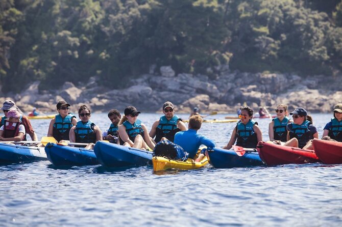 Afternoon Kayaking in Dubrovnik - Why This Tour Works Well