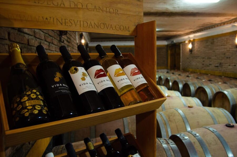 Albufeira: City Highlights & WINE TASTING - A Complete Overview of the Tour Experience