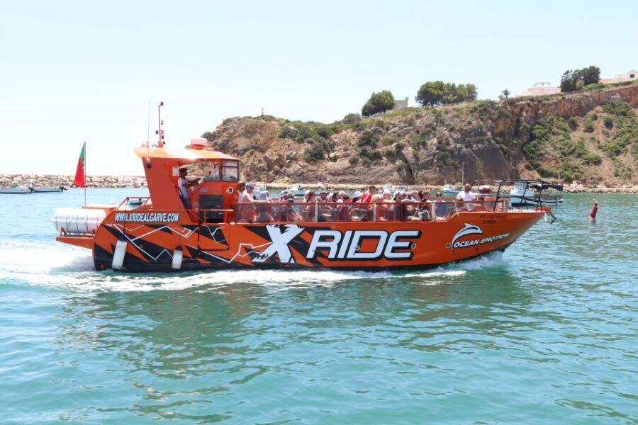 Albufeira: Dolphin Watching and Benagil Cave - The Experience: What to Expect on the Tour