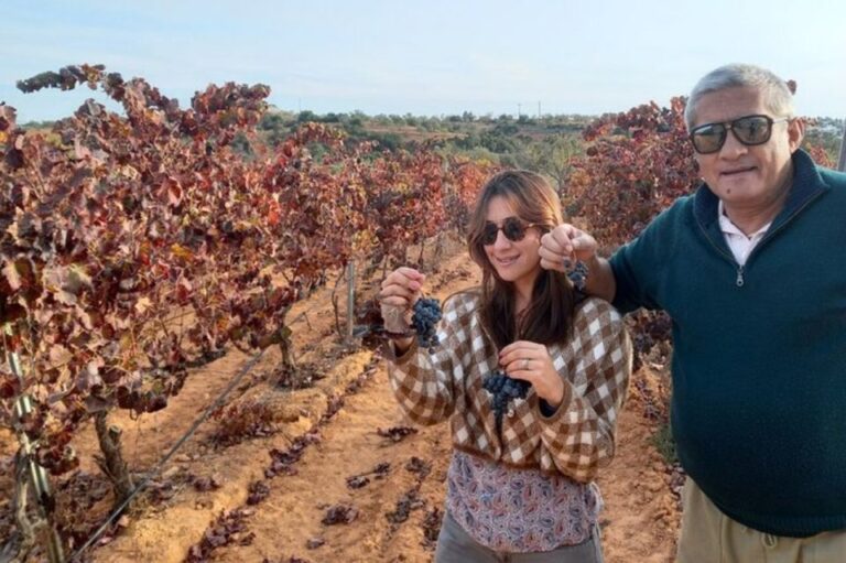Albufeira/Vilamoura: Winery Tour with Wine Tasting and Tapas