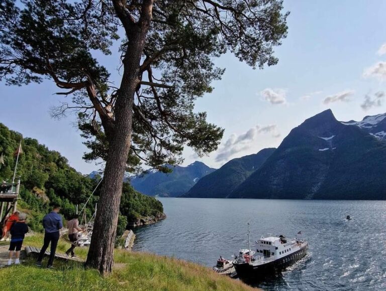 Ålesund-Trandal fjord tour with 3 hours stop at Trandal
