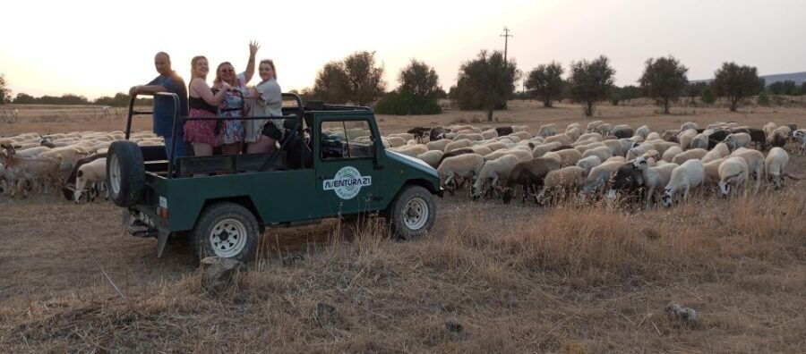 Algarve Grand Safari - Jeep tour. - The Itinerary in Detail: What to Expect