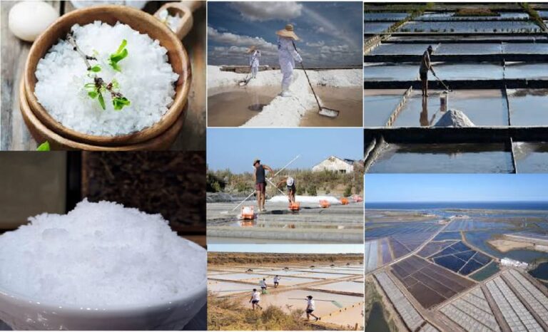 ALGARVE’S SALT TRAIL