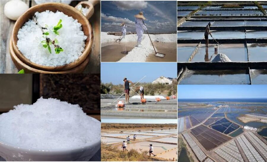 ALGARVE'S SALT TRAIL - Exploring the Algarve Salt Trail: A Detailed Review
