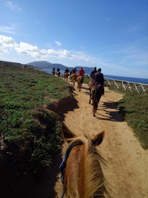 Alghero: horseback riding for experts in Lake Baratz - An Authentic Ride Along Sardinia’s Coastline