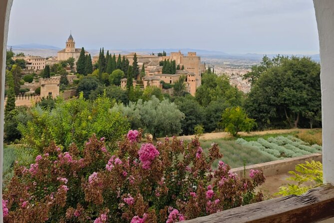 Alhambra Private Tour with Tickets to the Nasrid Palaces