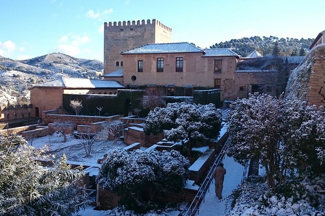 Alhambra private tour with tickets
