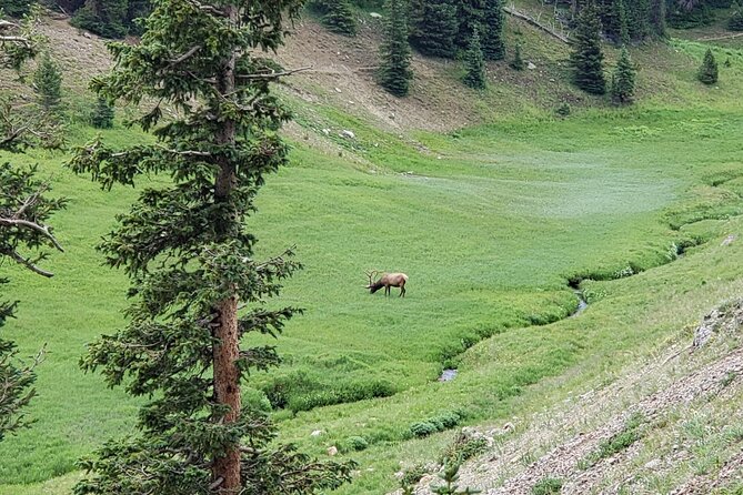 All Day Rocky Mountain National Park to Grand Lake Tour